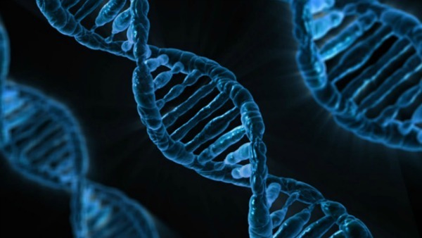 genoma humano
