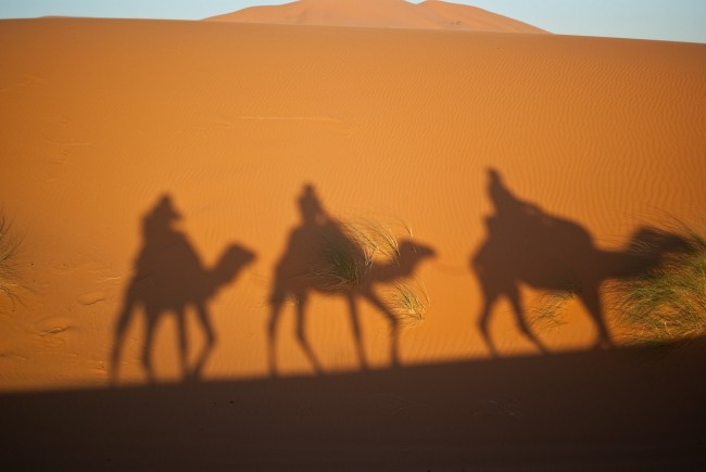 Reyes Magos en camellos