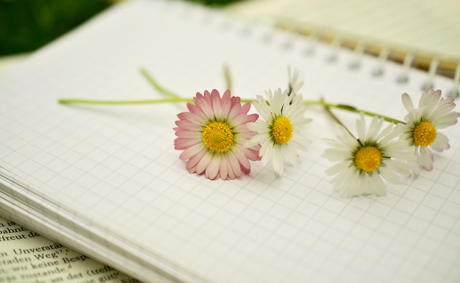 cuaderno-flores